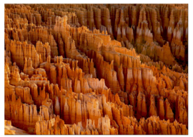 Bryce Canyon : foto schilderij op canvas