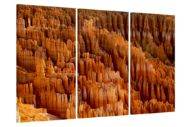 Bryce Canyon : foto schilderij op canvas
