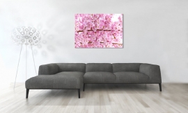 Cherry Blossom Canvas Art