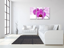 Drieluik schilderij orchidee