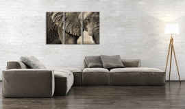 Schilderij Afrikaanse Olifant