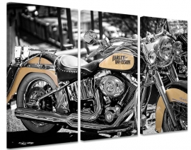 Schilderij Harley Davidson Motor