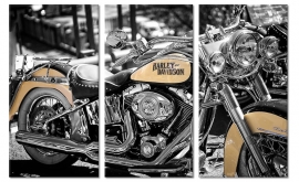 Schilderij Harley Davidson Motor