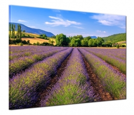 Provence