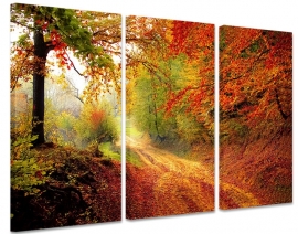 Canvasdoek Herfst