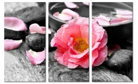 Foto Schilderij Roze Bloem