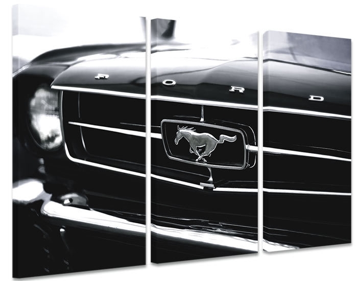 Ziektecijfers Drastisch aanpassen Schilderij Mustang Zwart Wit | Auto schilderijen | Canvas Fotokunst