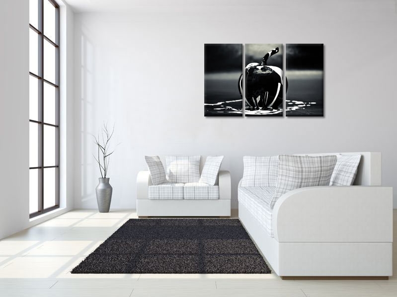 Uitgelezene Canvas doek Zwarte Appel | Zwart wit schilderijen | Canvas Fotokunst OK-65