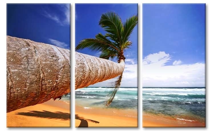 Palmboom canvas drieluik | Zee strand schilderijen Canvas Fotokunst