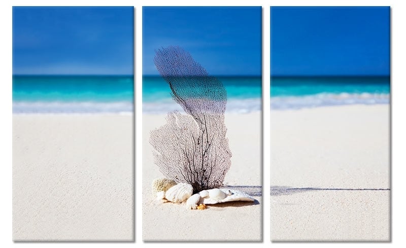 aantrekken voorkomen Viva Schilderij Wit Strand | Zee en strand schilderijen | Canvas Fotokunst