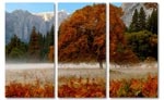 autumn-herfst-yosemite-boom-canvasdoek.jpg