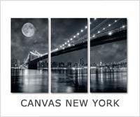 canvas new york