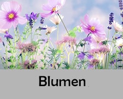 bloemen canvas schilderijen