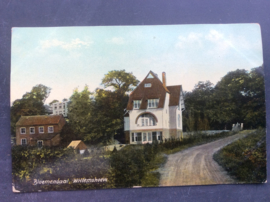 Bloemendaal, Willemshoeve