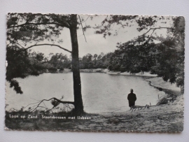 Loon op Zand, Staatsbossen met ijsbaan