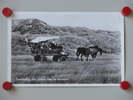 Terschelling, Bosplaat