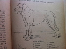 Hunde-sport und jagd, Winke fur anfanger (Munchen 1894)