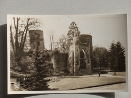 Stein, Ruine Kasteel Stein