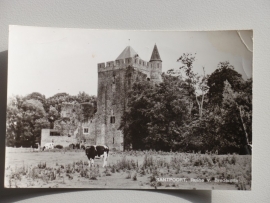 Santpoort, Ruine van Brederode