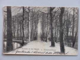 Den Haag, Gezicht in het Bosch 1901