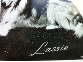 Lassie Nr 5449