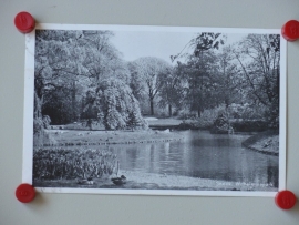 Sneek, Wilhelminapark