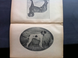 Hunde-sport und jagd, Winke fur anfanger (Munchen 1894)