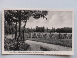 Laren, Gooi-Leemzoolscheweg