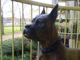 Gepatineerde bronzen sculpture met voorstelling van boxer