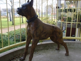 Gepatineerde bronzen sculpture met voorstelling van boxer