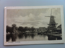 Haarlem, Spaarne