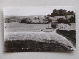 Mechelen (Z.L.), Landschap (1965)