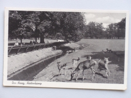 Den Haag, Hertenkamp 1941