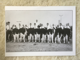 Keoienkeuring nakomelingen van stier Adema 493