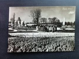 Heemstede, Flora 1953 (foto2)