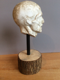 Model van spieren hoofd