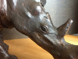 Neushoorn, van leer