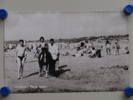 Zandvoort, Ponny rijden