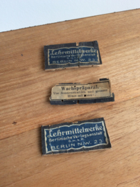 Wax Medical teaching aid (1910)