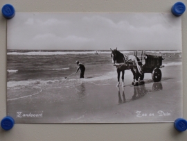 Zandvoort, Zee en Duin