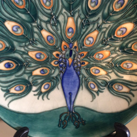 Moorcroft Schaaltje, Pauw 1994