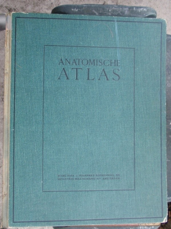 Anatomische Atlas