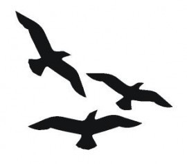 Sticker Setje van 3 zeevogels
