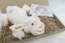 Brievenbus Pakketje - Schaap