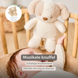 Nattou teddy muziekknuffel hond