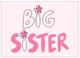 Brievenbus Pakketje - Big Sister