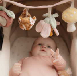 Little Dutch Wagenspanner - Fairy Garden