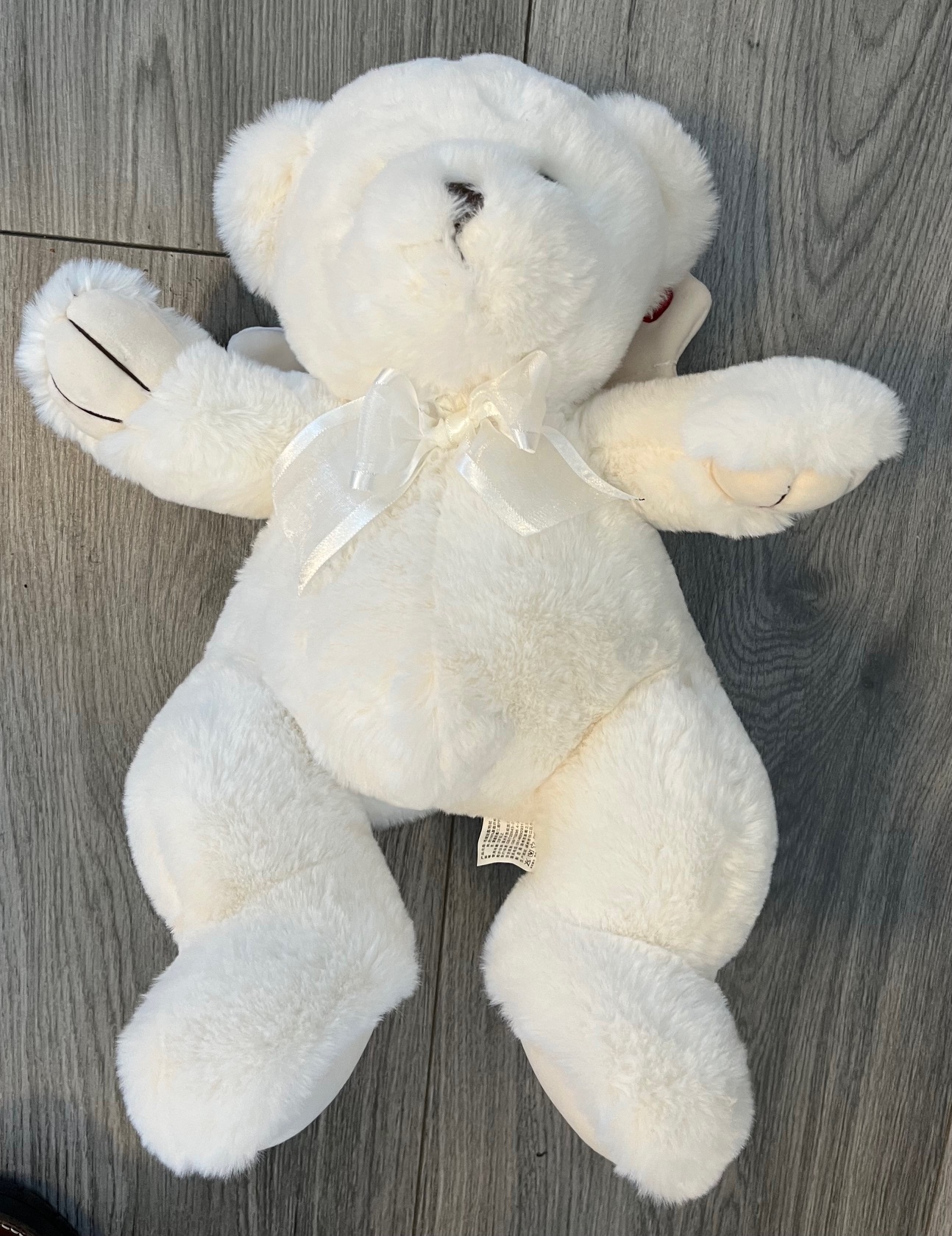angel bear troostbeer groot