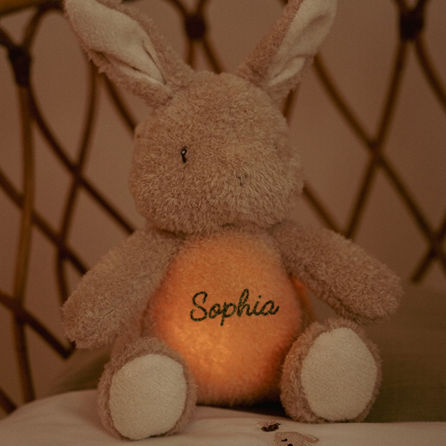 Little dutch bunny met verlichting