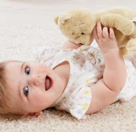 Disney Classic Winnie The Pooh Knuffel
